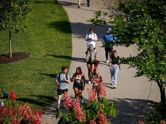 Students Walking on Campus Image