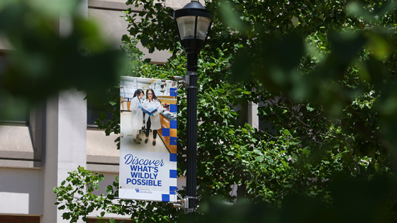 Image of UK Banner